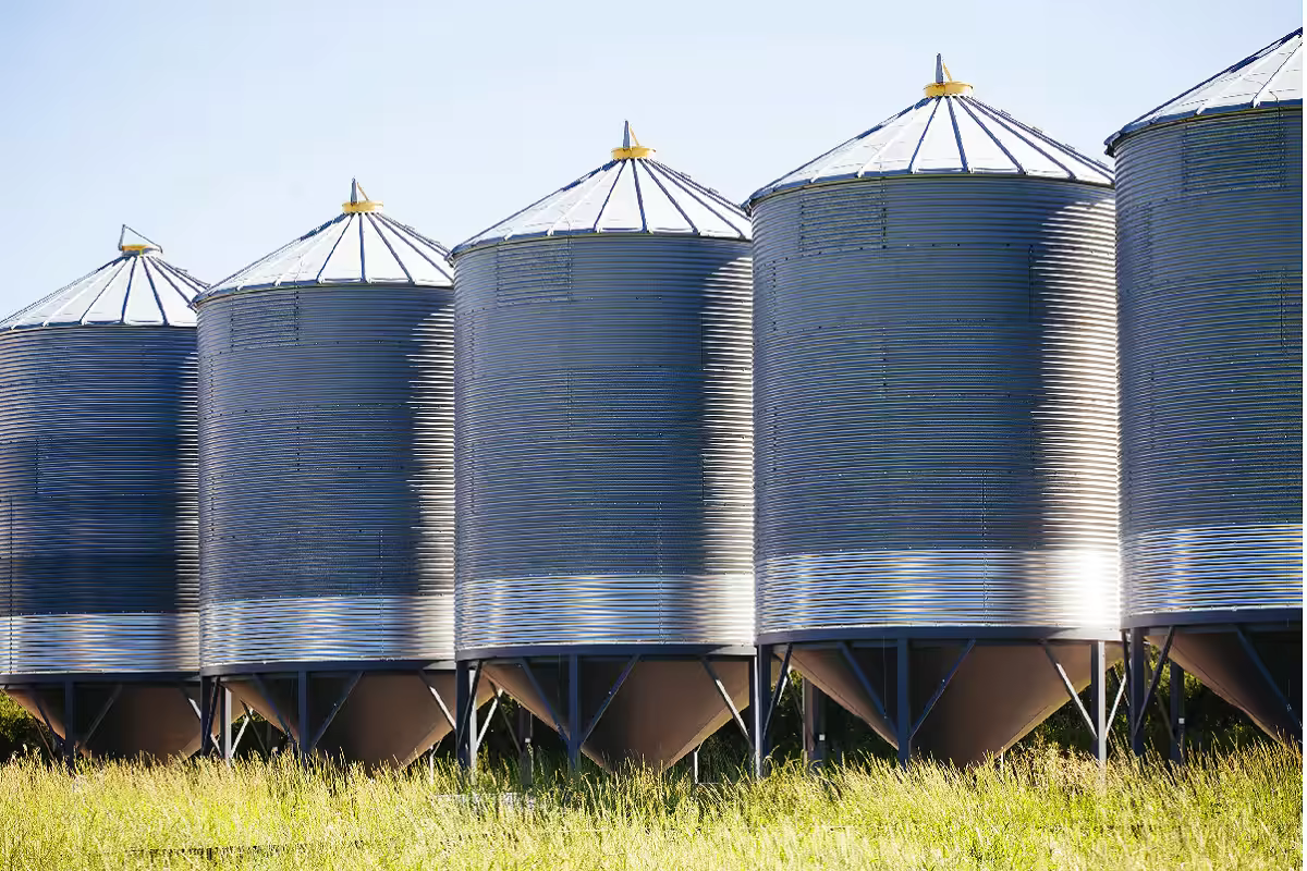 Bulk grain vessel loading and agricultural inspection