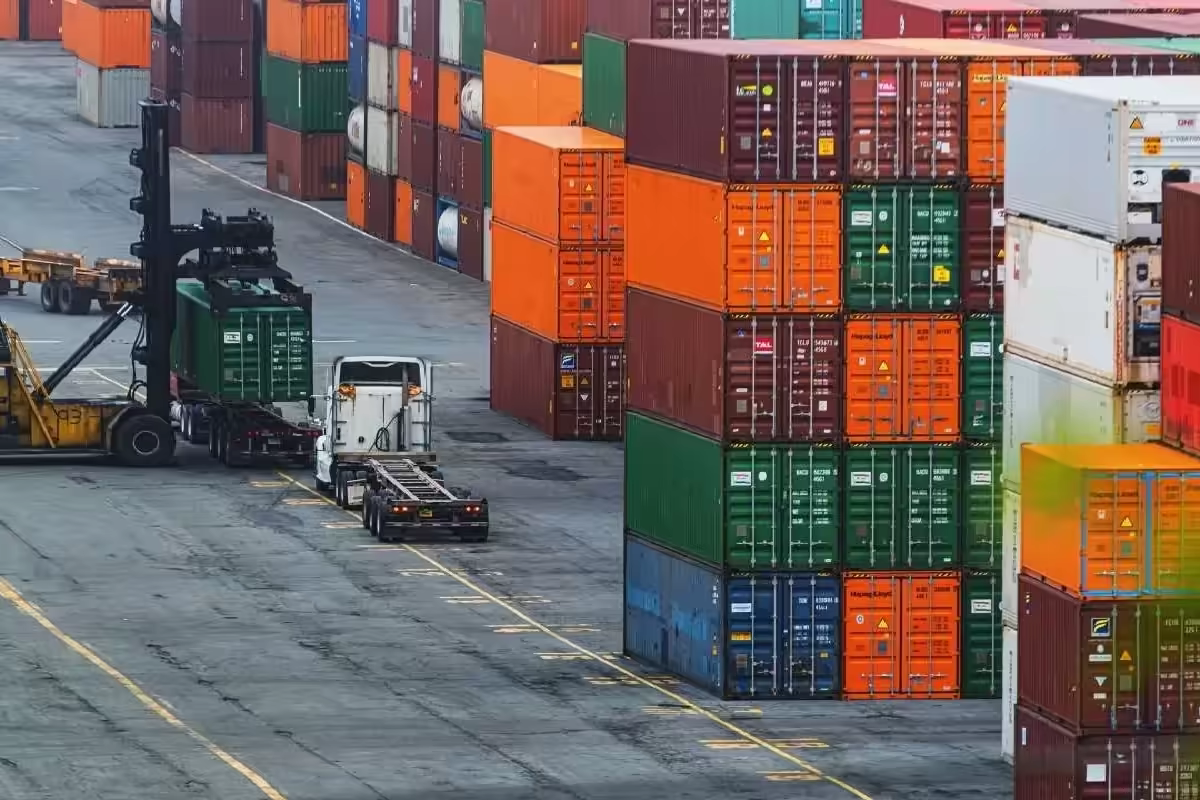 Container Cargo Terminal for International Agricultural Logistics