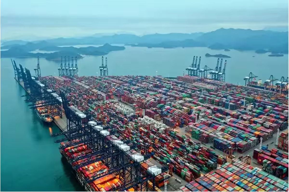 Container Terminal and Customs Cargo Inspection Infrastructure