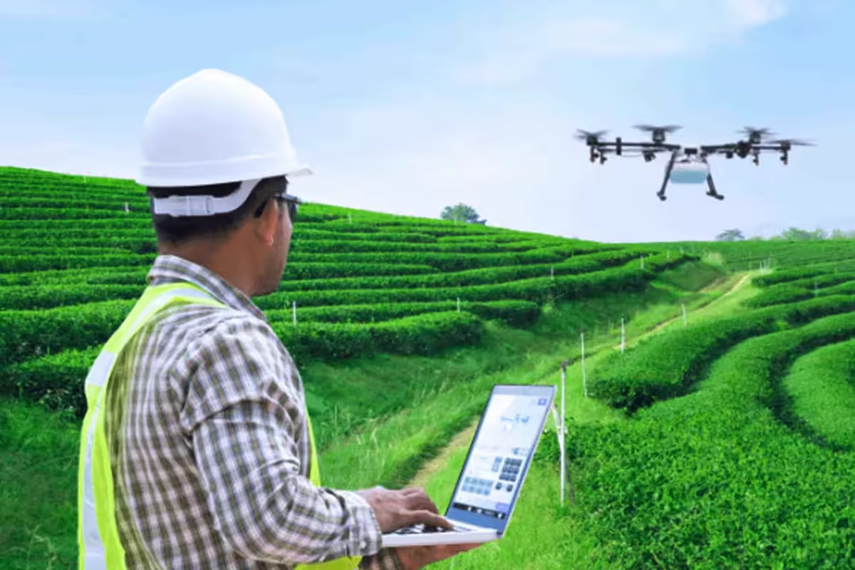 Sustainable Agricultural Field and Traceability