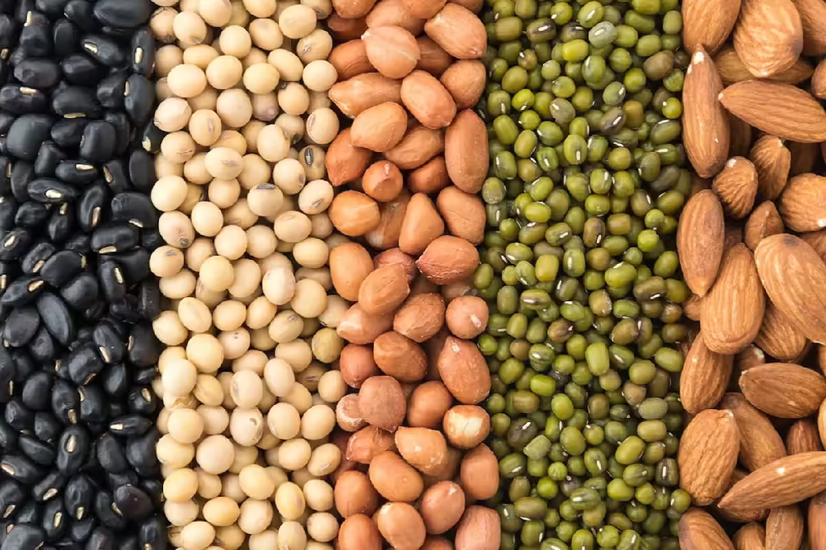 Various raw leguminous pulse seeds arranged in quality grading trays