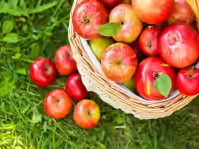 Fresh Apple