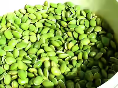 Broad Beans