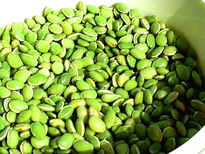Broad Beans