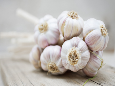 Garlic