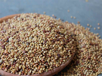 Horse Gram