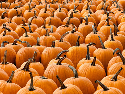Pumpkin